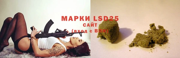 гидра Калининец