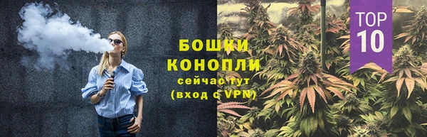 ГАЛЛЮЦИНОГЕННЫЕ ГРИБЫ Нестеровская