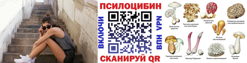 OMG рабочий сайт  Химки  Галлюциногенные грибы прущие грибы  где можно купить наркотик 