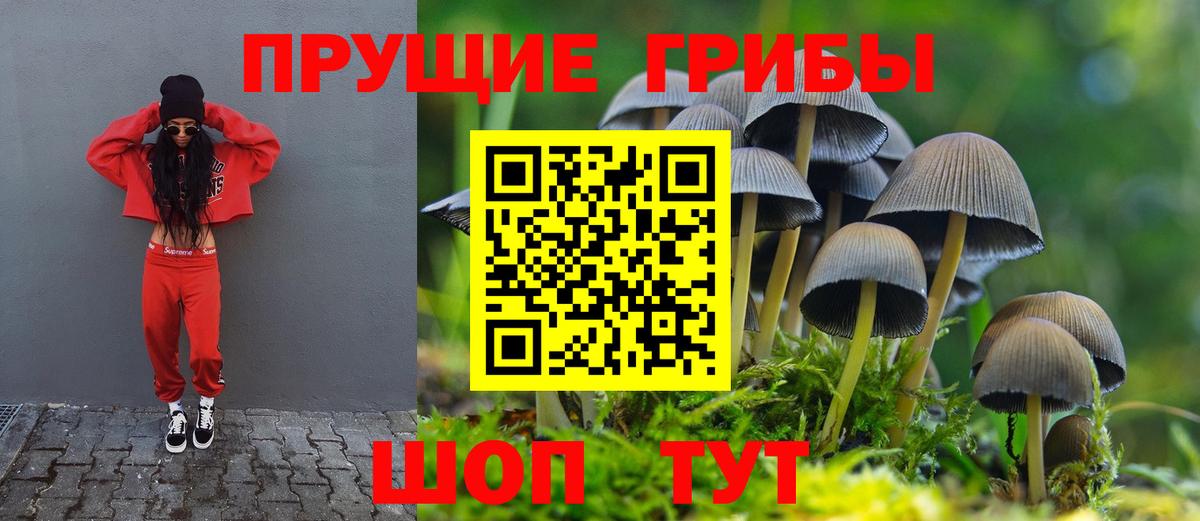 Псилоцибиновые грибы MAGIC MUSHROOMS  Вход с VPN  Галлюциногенные грибы Magic Shrooms  где можно купить наркотик  Химки 