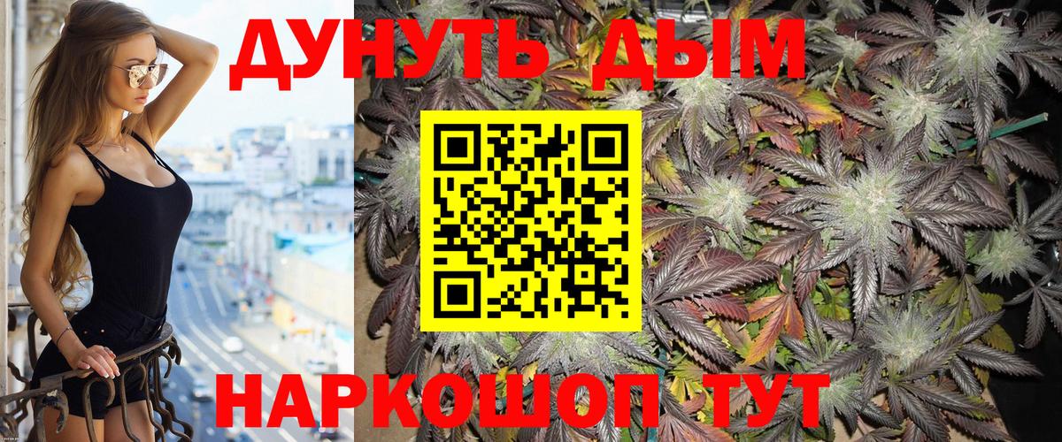 Бошки марихуана семена  Конопля THC 21%  Вход с VPN  Химки  МАРИХУАНА Bruce Banner 